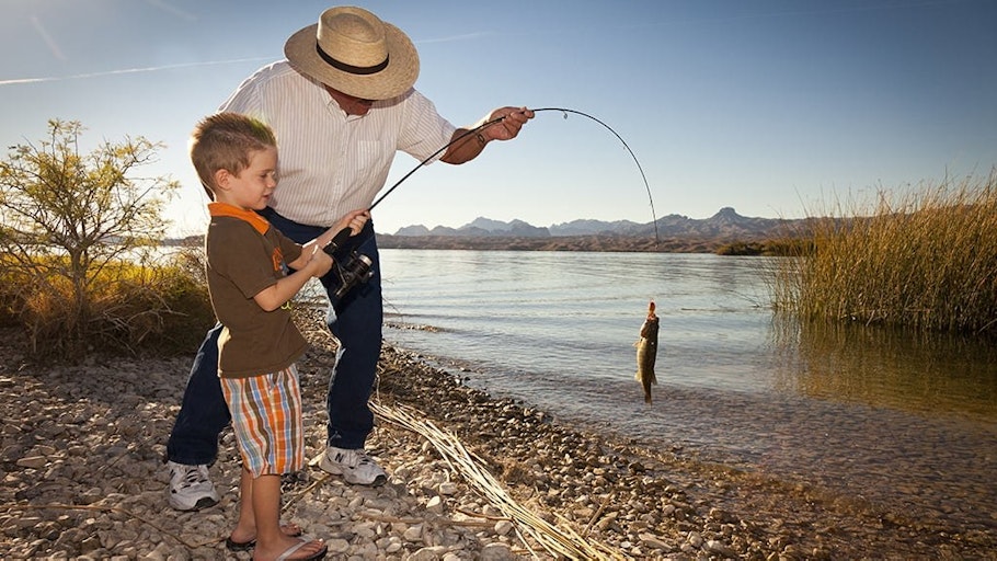 Lake Havasu Fishing License: Your Guide to Angler Adventures